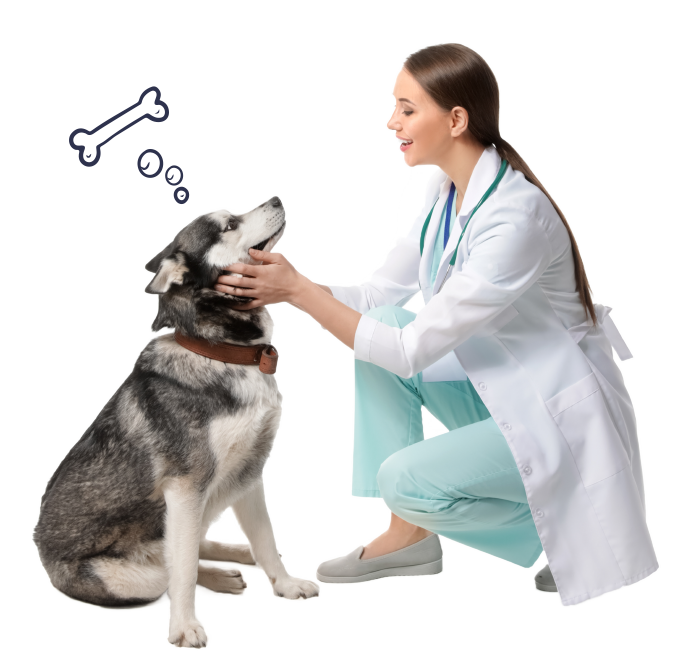 Section 03 Left Side Image