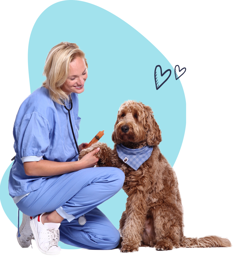 Home About Us Section 01